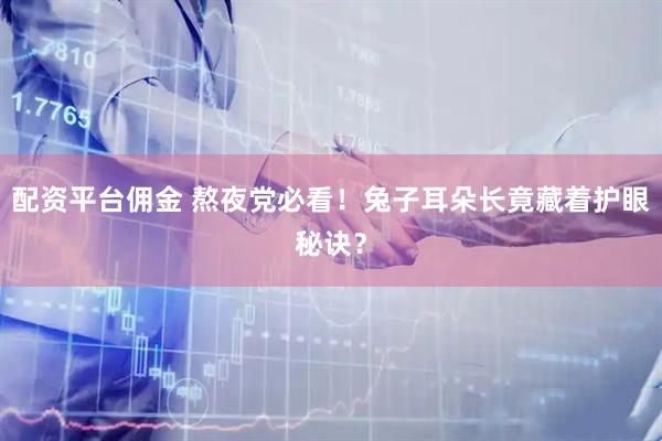 配资平台佣金 熬夜党必看！兔子耳朵长竟藏着护眼秘诀？