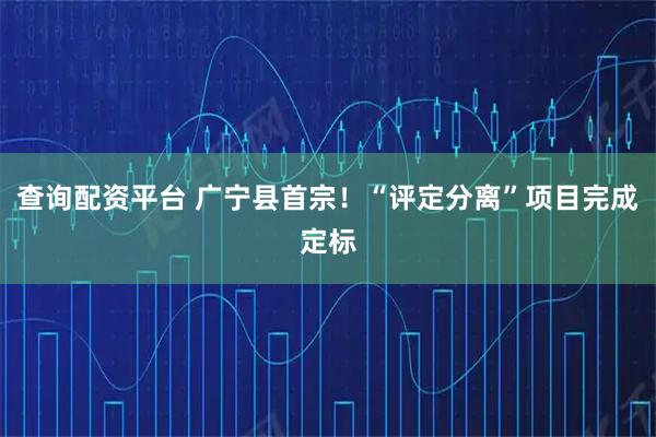 查询配资平台 广宁县首宗！“评定分离”项目完成定标